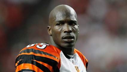 Former Bengals All-Pro on Vikings’ Justin Jefferson: ‘I Will Lock Him Up’