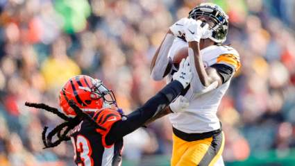 Ravens, Lions Sign Former Steelers