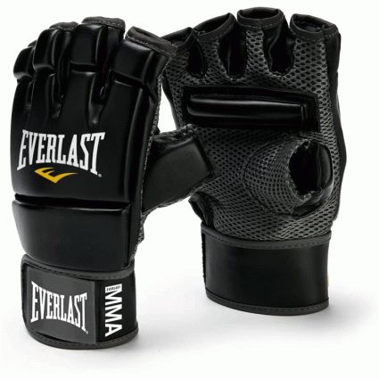 everlast kickboxing gloves