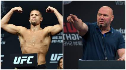 Nate Diaz, Dana White and More React To Massive Upset [WATCH]