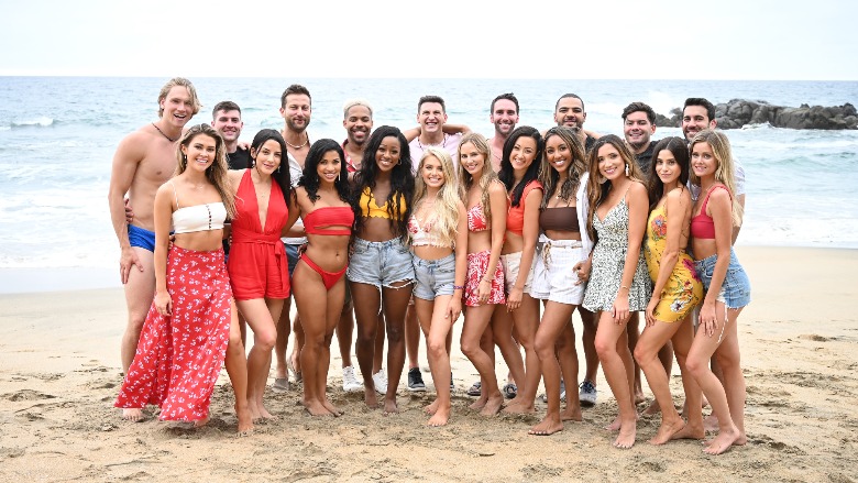 The cast of 'Bachelor in Paradise.'