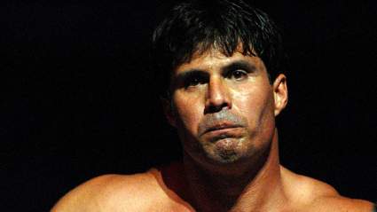 Best Reactions to Viral KO of Jose Canseco [WATCH]