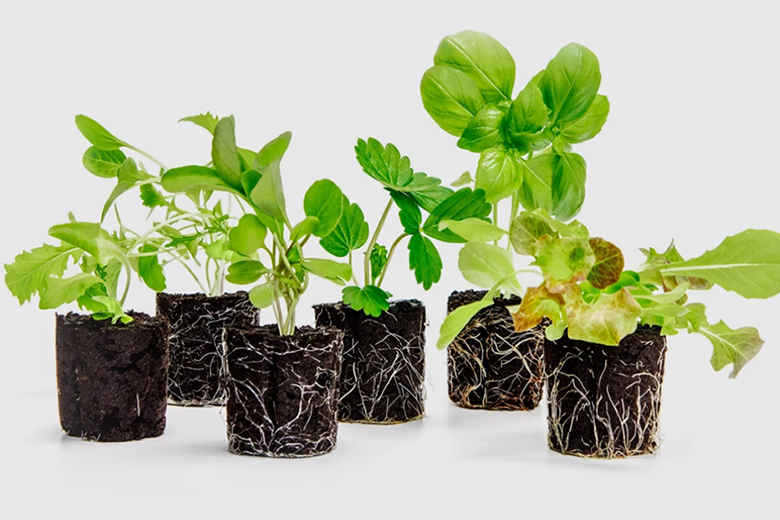 Lettuce Grow FarmStand