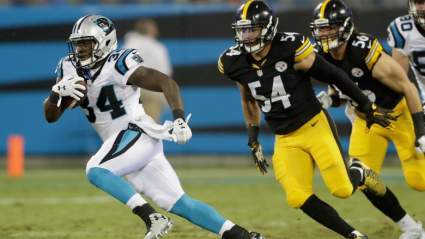 Ravens Decline Option on Ex-Steelers, Eagles Linebacker: Report