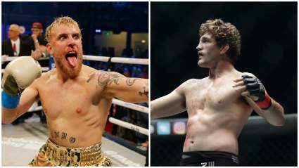 UFC World Reacts to ‘Painful’ Paul vs. Askren Triller Event