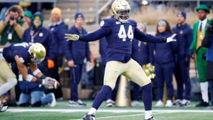 Steelers Sign Former Texans, Notre Dame Linebacker