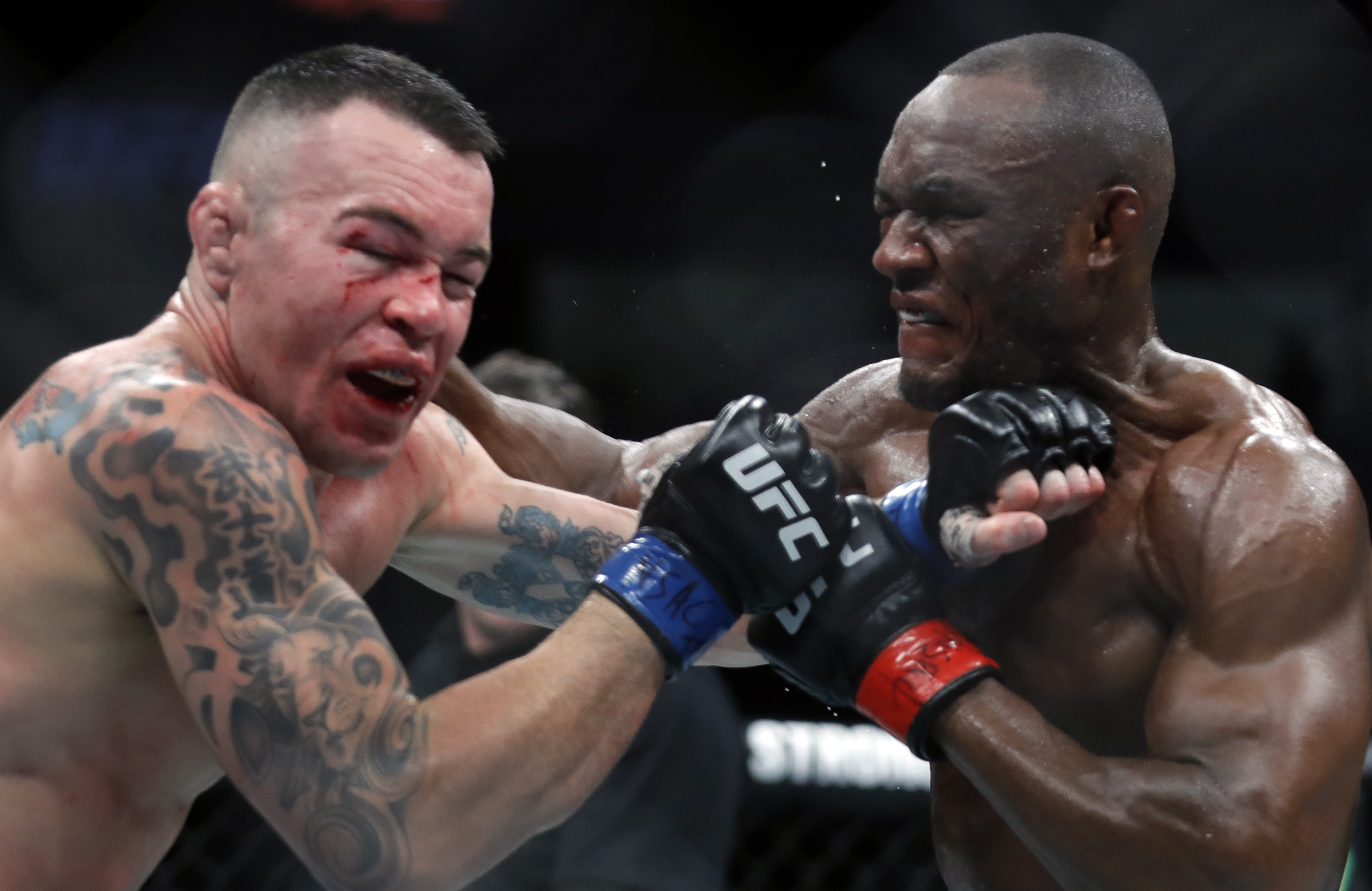 UFC's Colby Covington Erupts: 'You Can't Win' | Heavy.com
