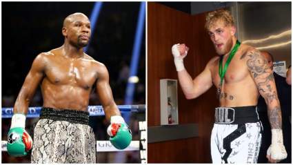 Floyd Mayweather Slams Jake Paul After Sexual Assault Accusation [LOOK]