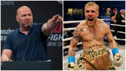 Dana White Shreds Jake Paul After Showing Up to UFC 261