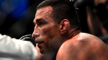 Fabricio Werdum Knocked Out After Referee’s Error [WATCH]