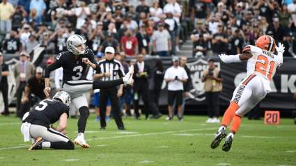 Browns Waive Ex-Steelers, Raiders Kicker