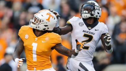 Steelers Sign Free Agent Cornerback, Waive Tight End and Punter