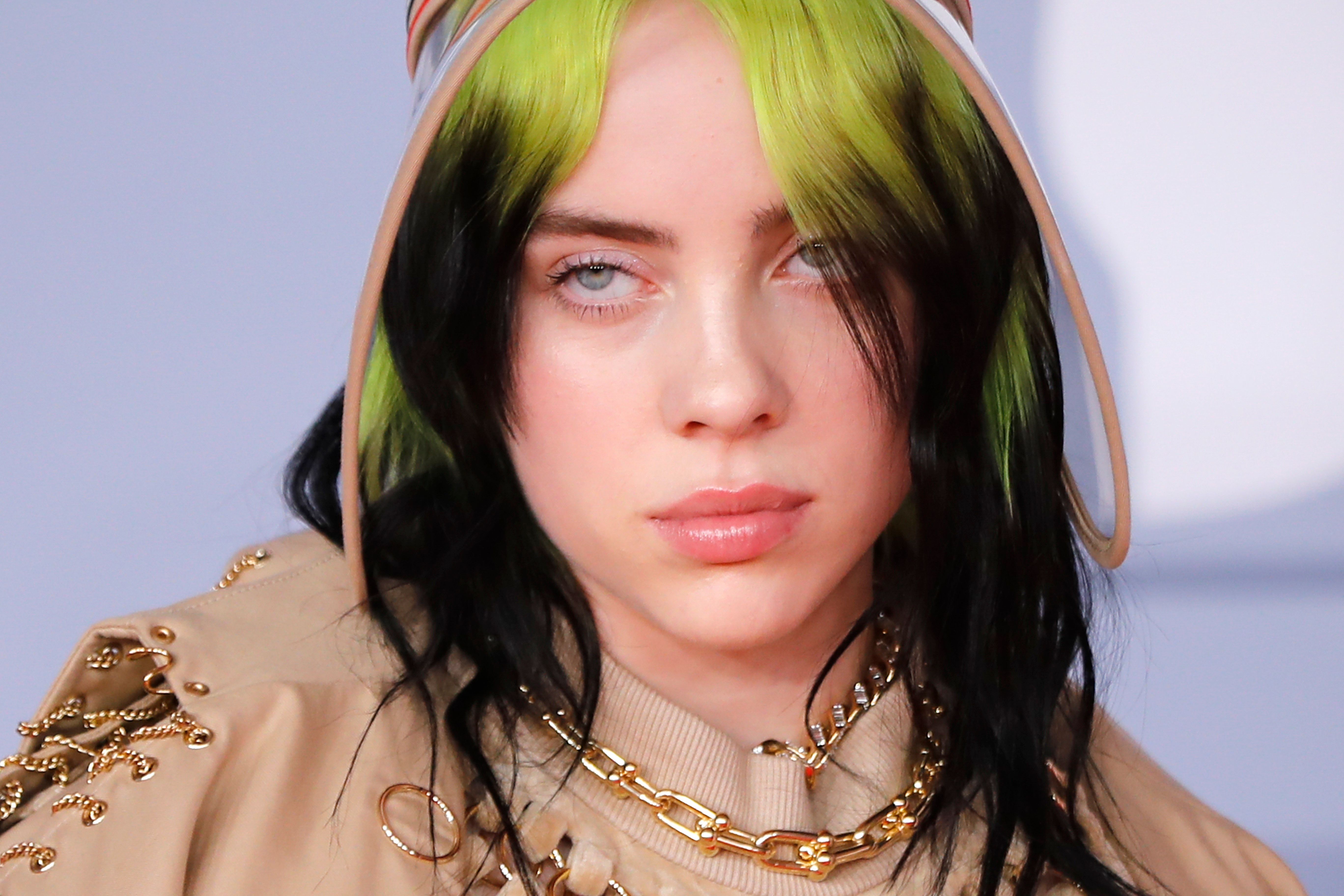 Is This Real?  The Billie Eilish Image Controversy