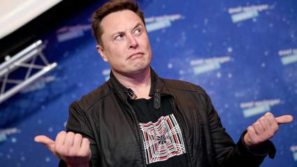 UFC Fighter Calls Out Tesla CEO Elon Musk: ‘Let’s Go!’