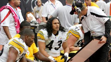 Dick LeBeau Calls Troy Polamalu a ‘100-Year Player’