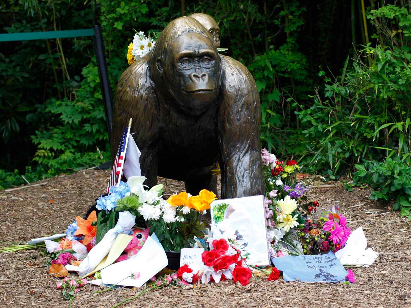 harambe-memes-the-internet-says-rip-on-his-death-day