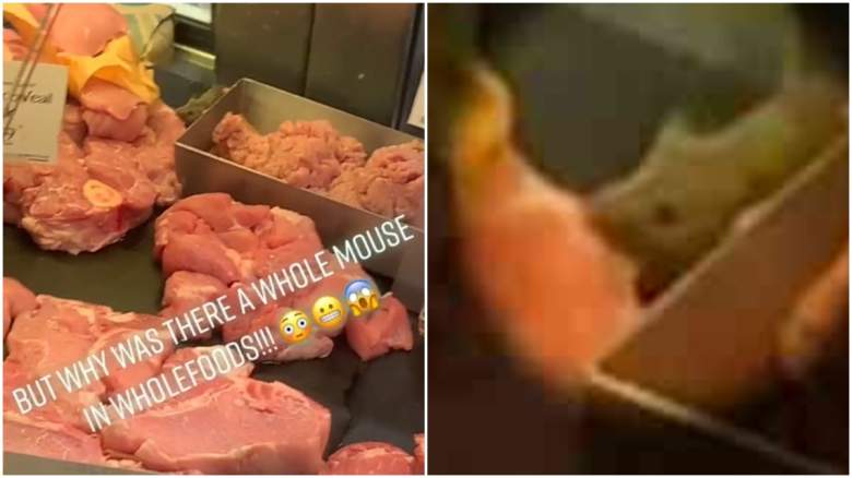 mouse eating meat in whole foods