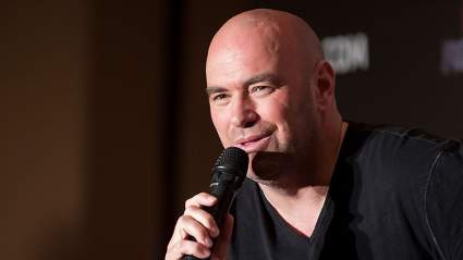 Dana White Offered Celebrity Boxing Match