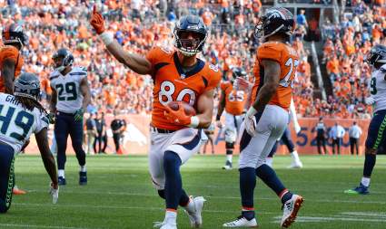 Bears Try Out 5 Free Agents, Including Ex-Packers DE & 2 Hybrid TEs