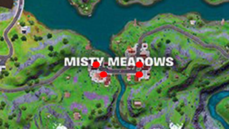 Misty Meadows missing persons signs