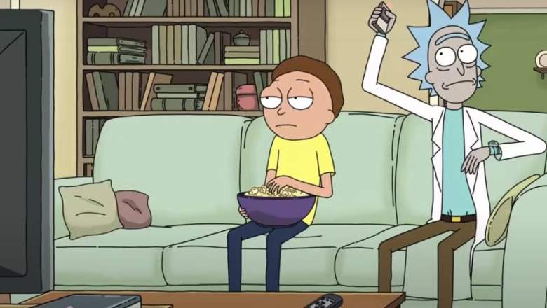 What Time Channel Does Rick And Morty Season 5 Air On Tv Heavy Com