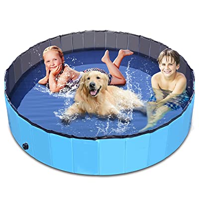 dog safe inflatable pool