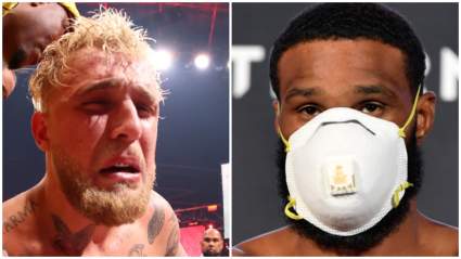 Jake Paul Compared to Virus [LOOK]