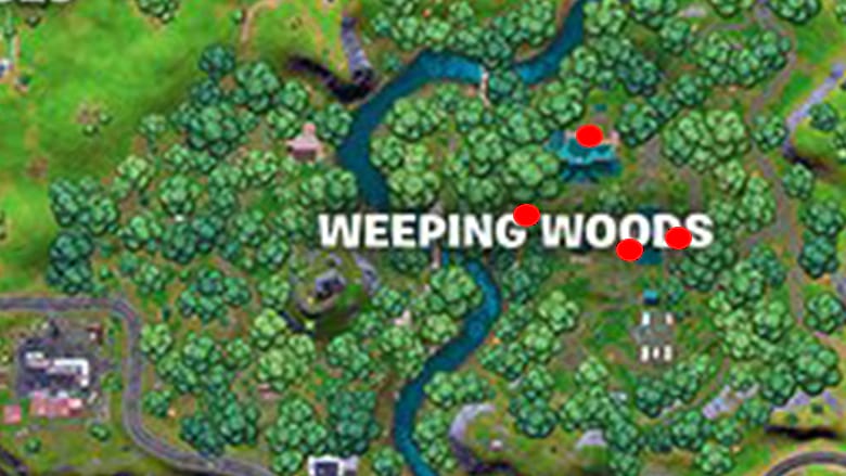 weeping woods missing person signs fortnite