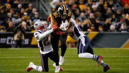 Bears Signing Former Steelers, Lions Tight End: Report