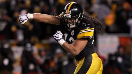 Troy Polamalu Says He Plans to Return to Heinz Field in 2021
