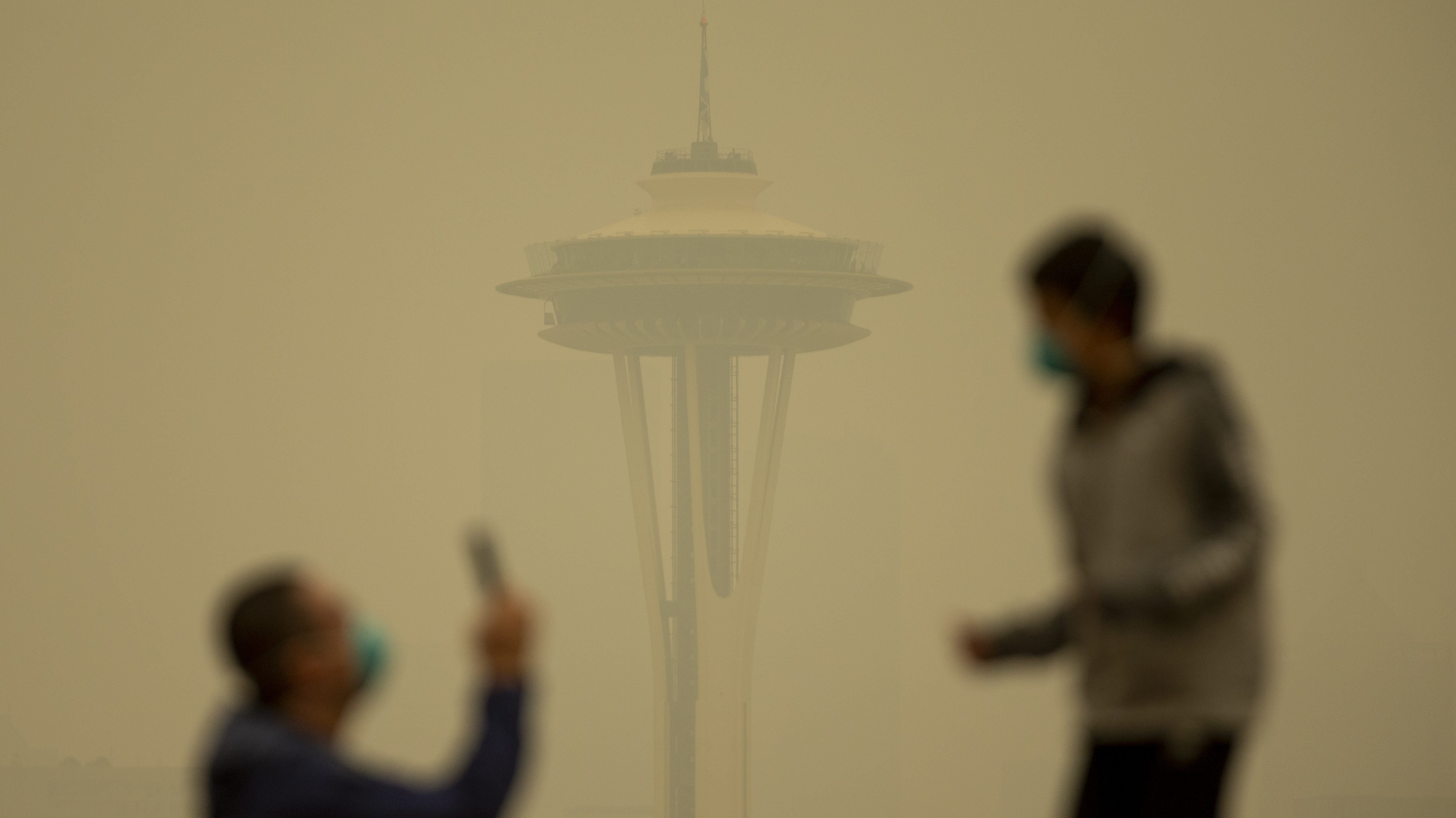 What’s In Wildfire Smoke? A Toxicologist Explains The Health Risks