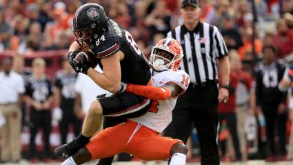 L.A. Rams Clear Room & Waive Journeyman Tight End: Report