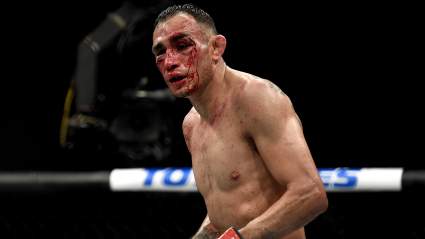 UFC’s Tony Ferguson Dismissed: ‘Too Far Over the Hill’