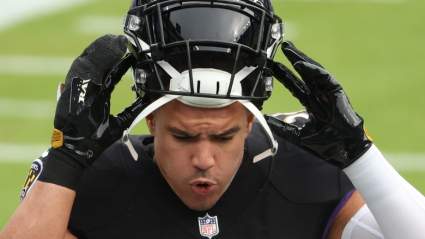 Ex-Steelers LB Suffered Season-Ending Injury vs. Panthers: Report