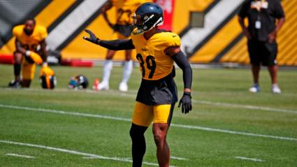 Steelers’ Minkah Fitzpatrick ‘Shaking His Head’ at NFL Top 100 Ranking