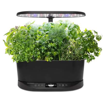 aerogarden indoor hydroponic garden