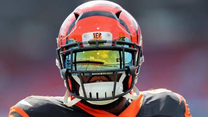 Bills Sign Former Bengals, Giants Tackle to Practice Squad: Report