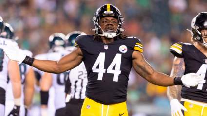 Former UDFA Trades Working Retail for Linebacker Job with Steelers
