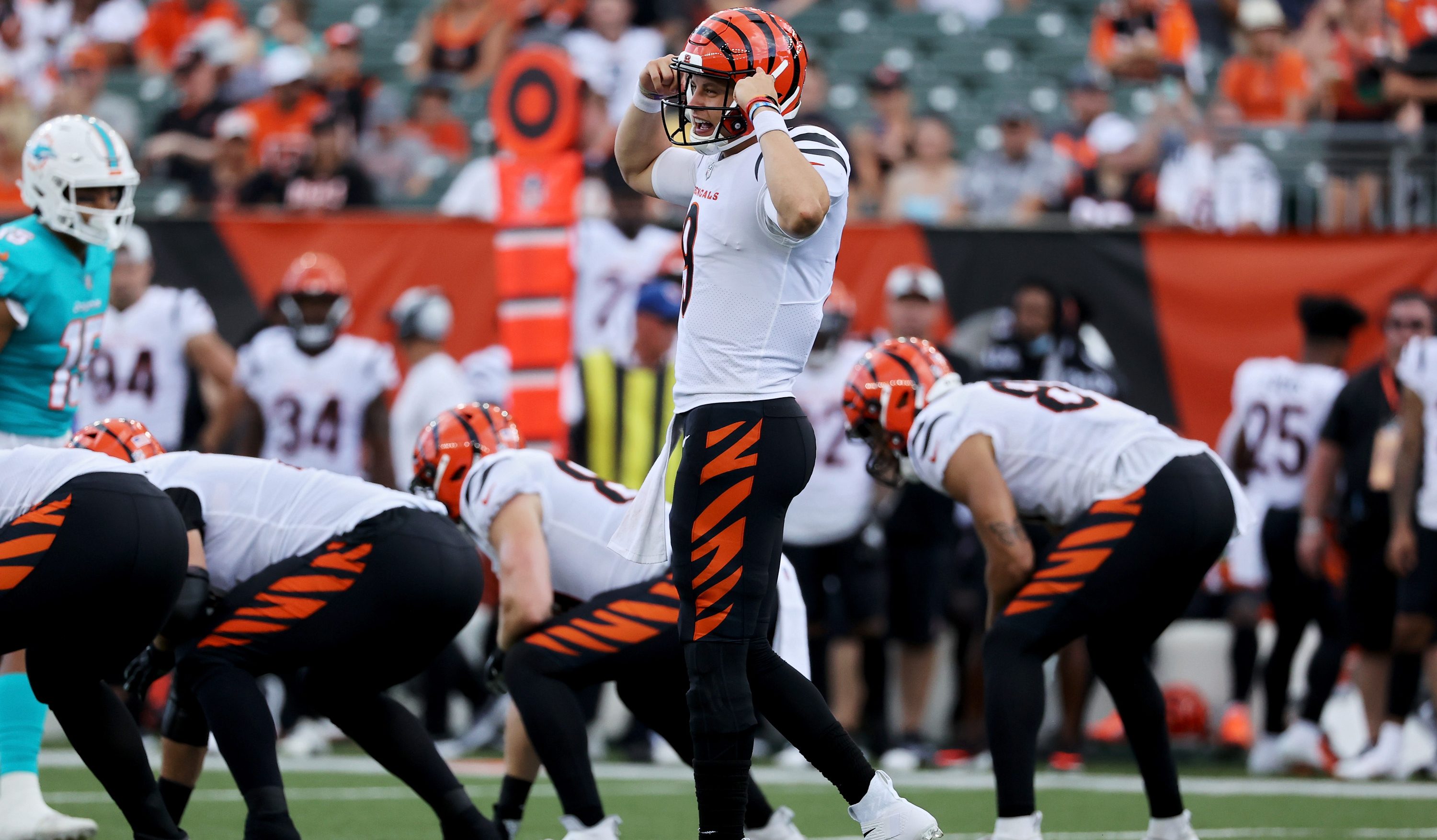 Vikings Vs Bengals Live Stream: How To Watch Online