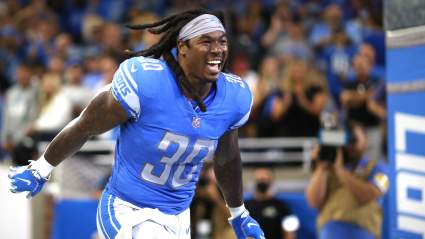 5 Lions With the Most ‘Hard Knocks’ Superstar Potential