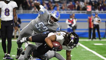 Veteran Grinder, Youngsters Pop for Lions During Offseason Workouts