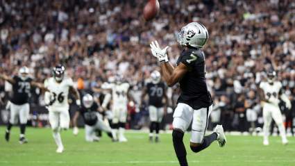 Bills Mafia Has Wild Reaction to Former WR’s Game-Winning TD for Raiders