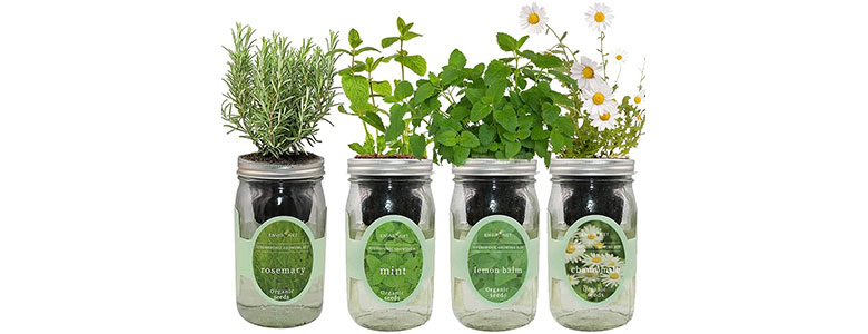 eco hydroponic mason jar organic