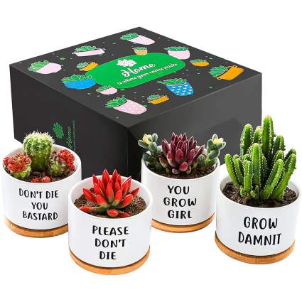 Small funny pots with black gift box