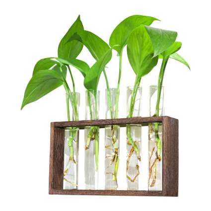 Bud vase holder with green leaf plants