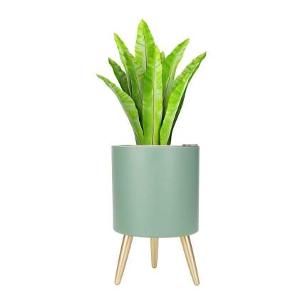 Planter with midcentury modern legs and green leafy plant