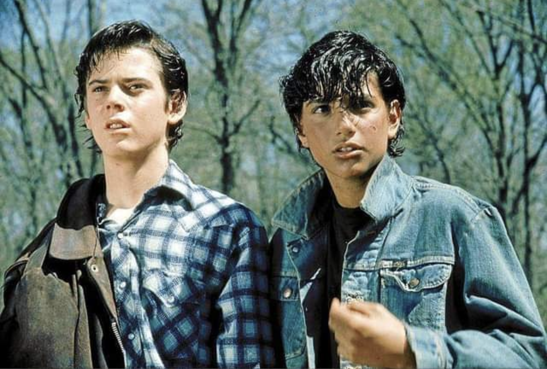 the outsiders c thomas howell