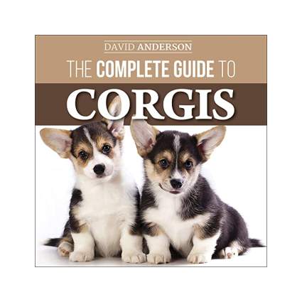 complete guide to corgis