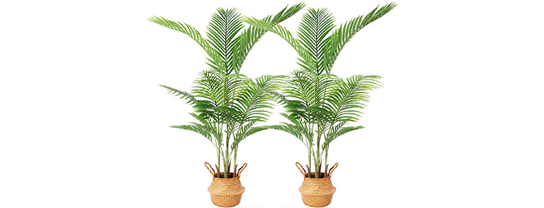 ferrgoal artifical areca palm plants