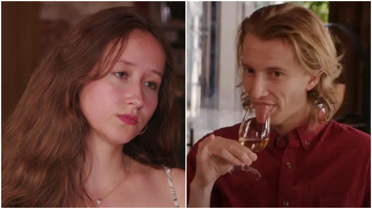 90 Day Fiance: Are Steven & Alina Still Together Now?